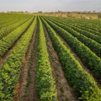 Controle estatístico de qualidade na irrigação