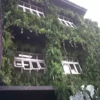 Irrigação para paredes verdes e vasos